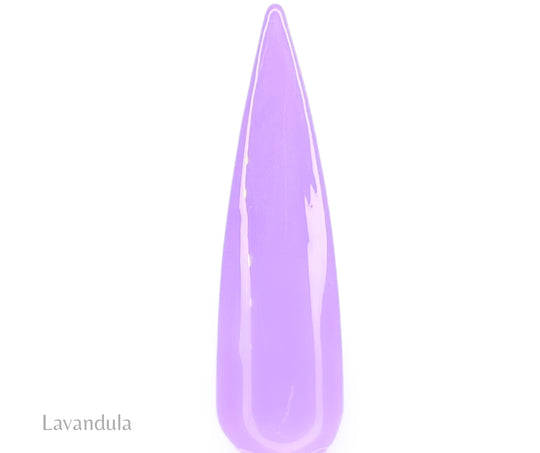 Lavandula- (Pudding gel)