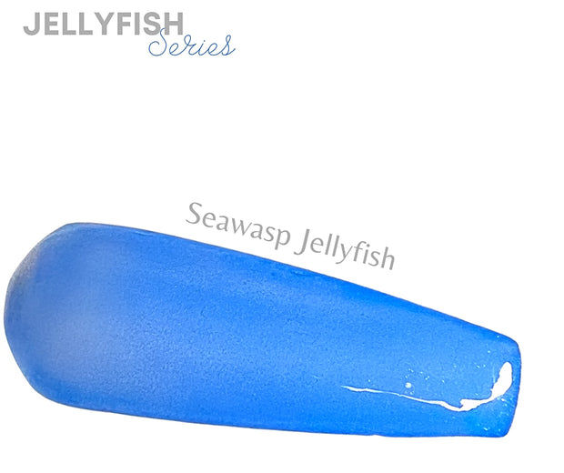 Seawasp Jellyfish