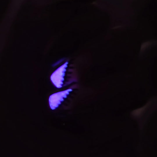 Purple Monster- Gel Liner