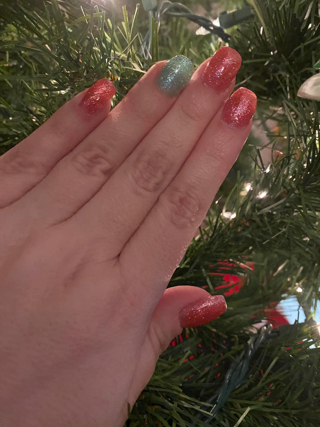 Christmas 🎅 Builder Gel Polish Collection (4 colors) Hema Free - Sundara Nails